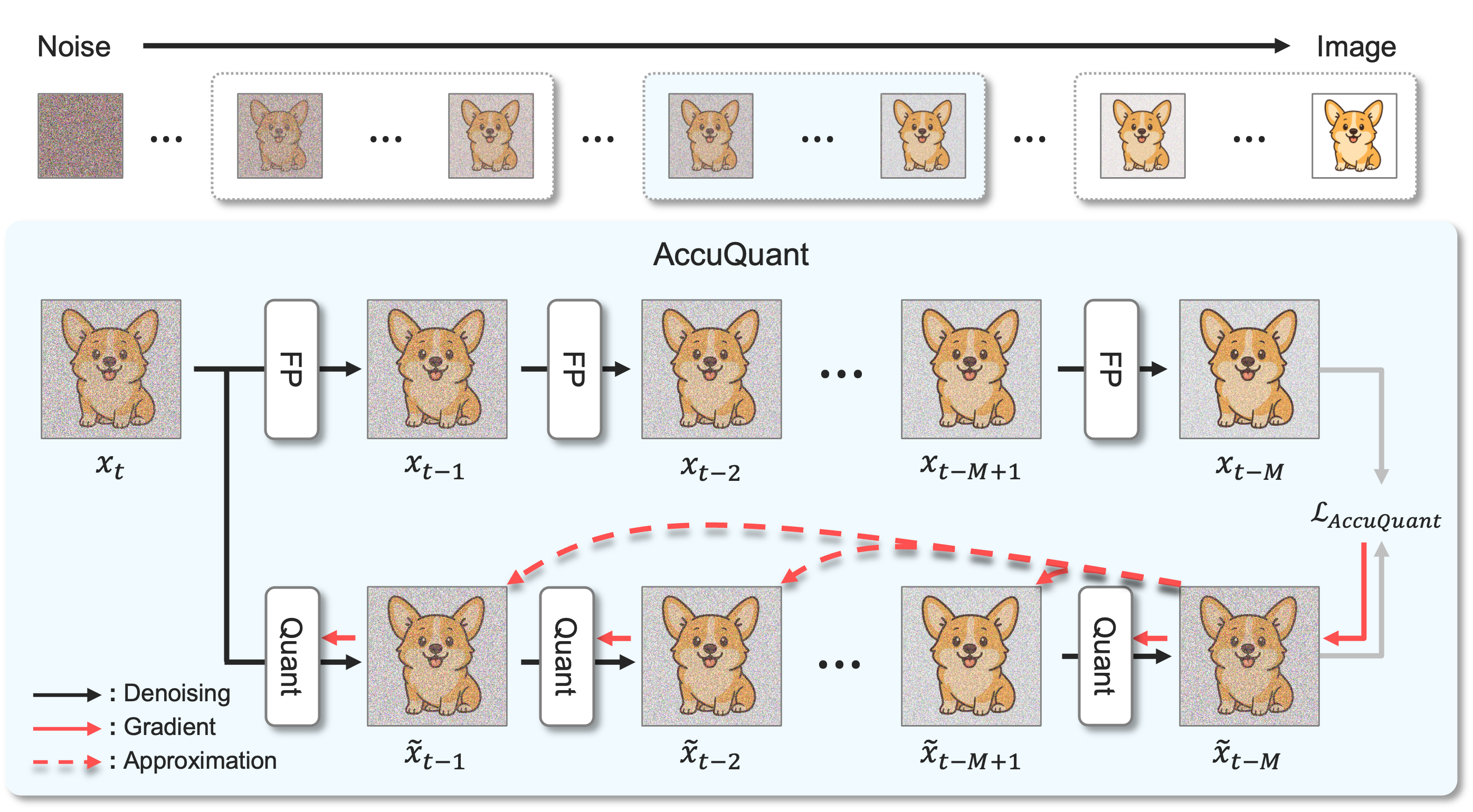 accuquant_overview.png